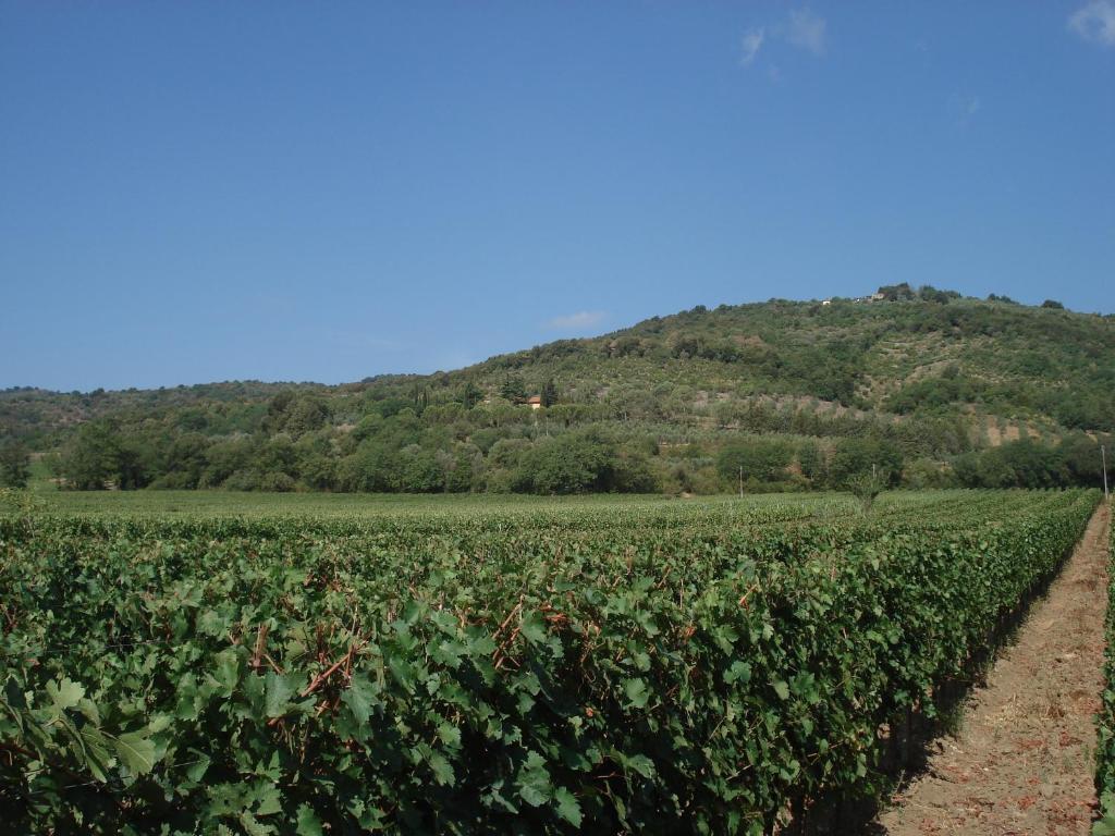 Agriturismo La Fontanella & Glamping 수베레토 외부 사진